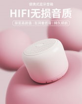 前行者蓝牙音响无线音箱高音质小型便携式迷你户外低音炮大音量